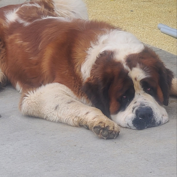 Haaayyyyyy It's meeee.... Jenna - Picture 11 of 12